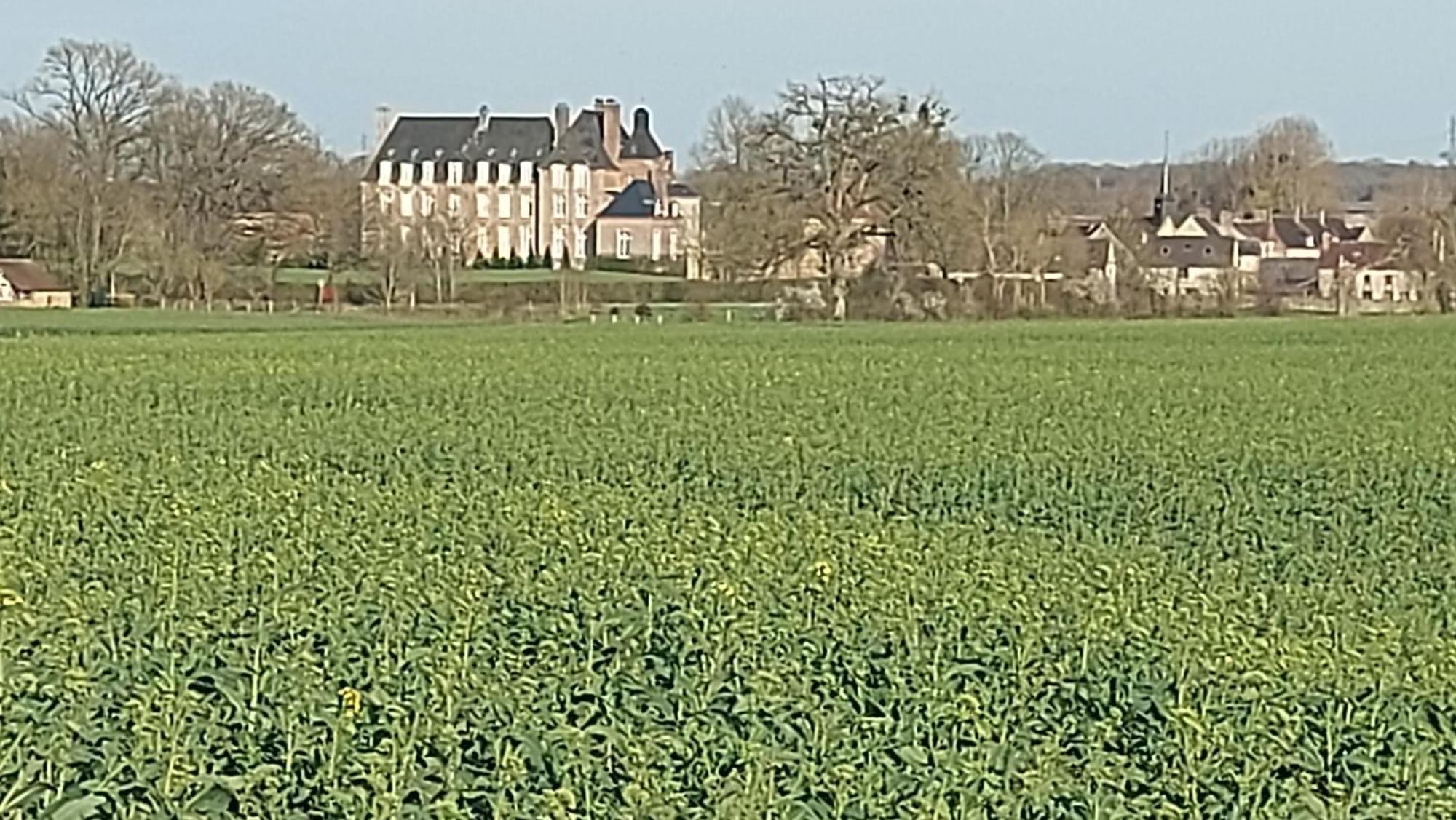 Villa Maella Saint-Michel-Tuboeuf Экстерьер фото